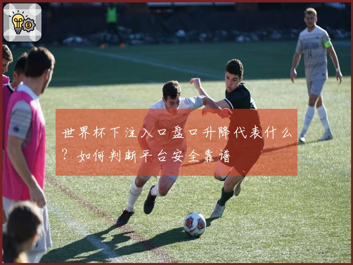 世界杯下注入口盘口升降代表什么？如何判断平台安全靠谱