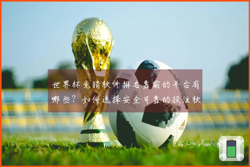 世界杯竞猜软件排名靠前的平台有哪些？如何选择安全可靠的投注软件流程