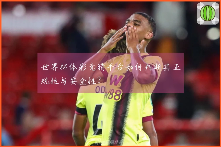 爱游戏体育资讯图