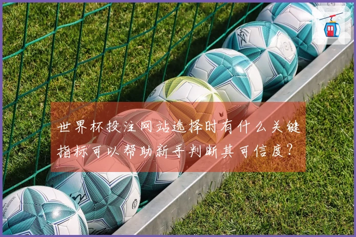 世界杯投注网站选择时有什么关键指标可以帮助新手判断其可信度？