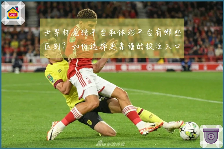 世界杯竞猜平台和体彩平台有哪些区别？如何选择更靠谱的投注入口
