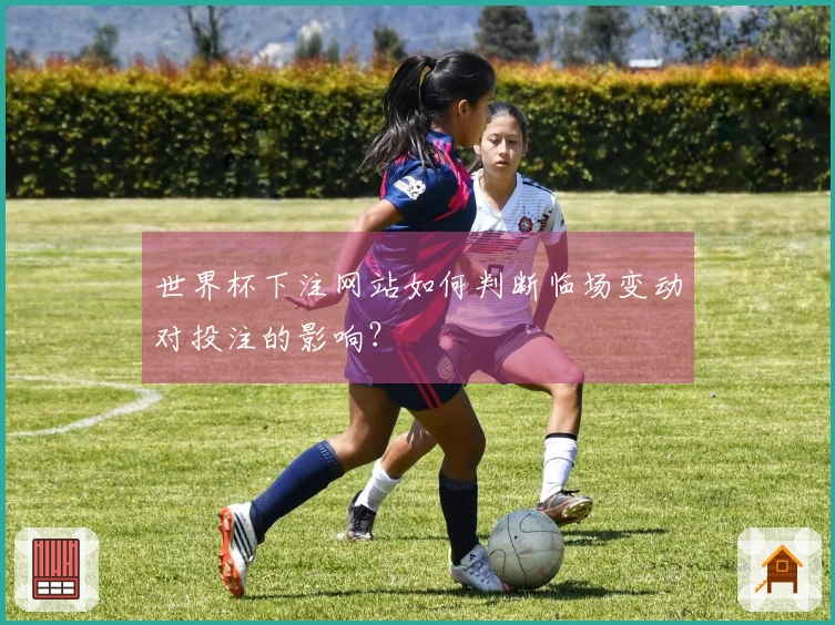 爱游戏体育资讯图