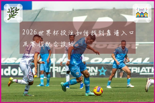 2026世界杯投注如何找到靠谱入口及赛程配合技巧