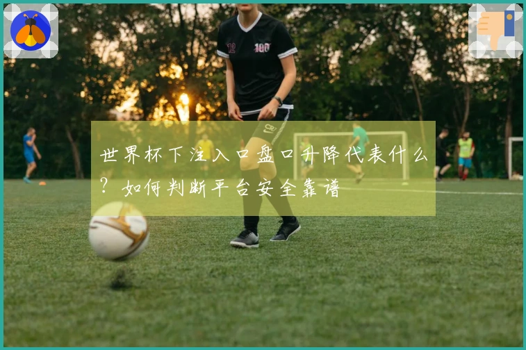 世界杯下注入口盘口升降代表什么？如何判断平台安全靠谱