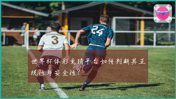 世界杯体彩竞猜平台如何判断其正规性与安全性？