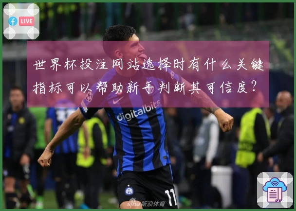世界杯投注网站选择时有什么关键指标可以帮助新手判断其可信度？