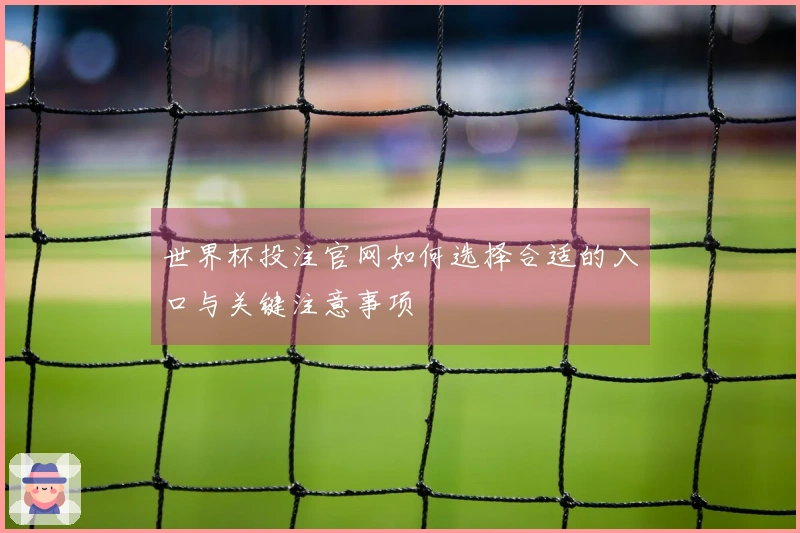 世界杯投注官网如何选择合适的入口与关键注意事项