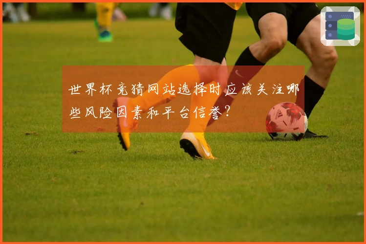 世界杯竞猜网站选择时应该关注哪些风险因素和平台信誉？